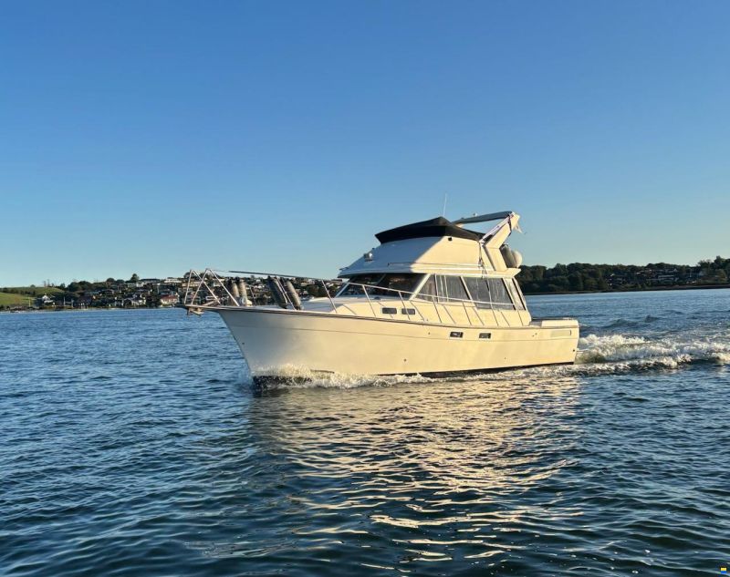 Bayliner 3288 Fly