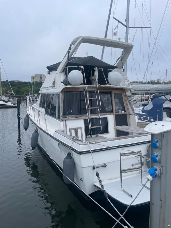 Bayliner 3288 Fly