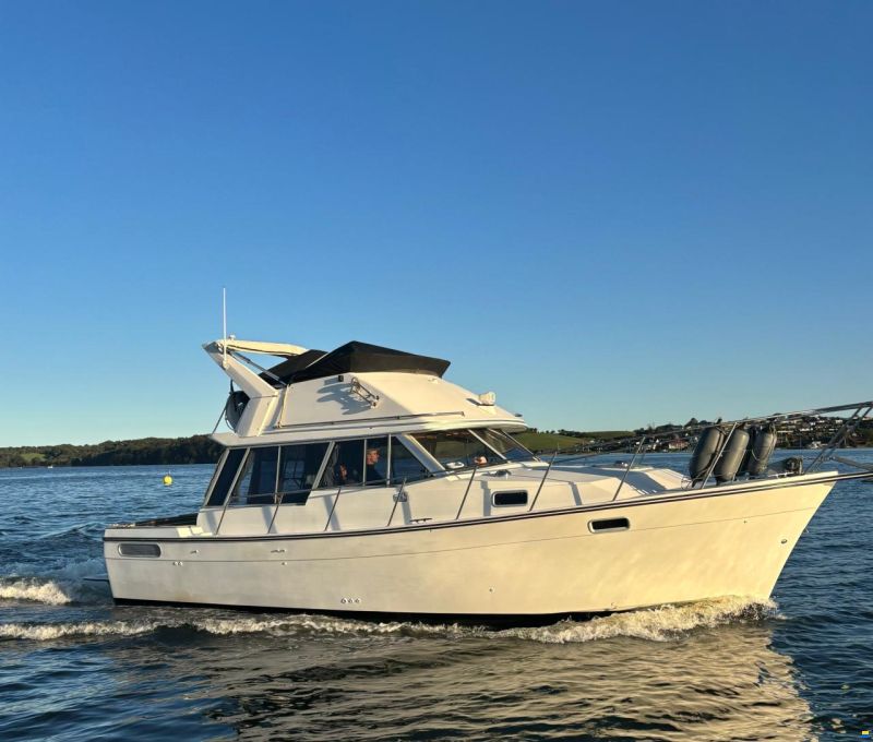 Bayliner 3288 Fly