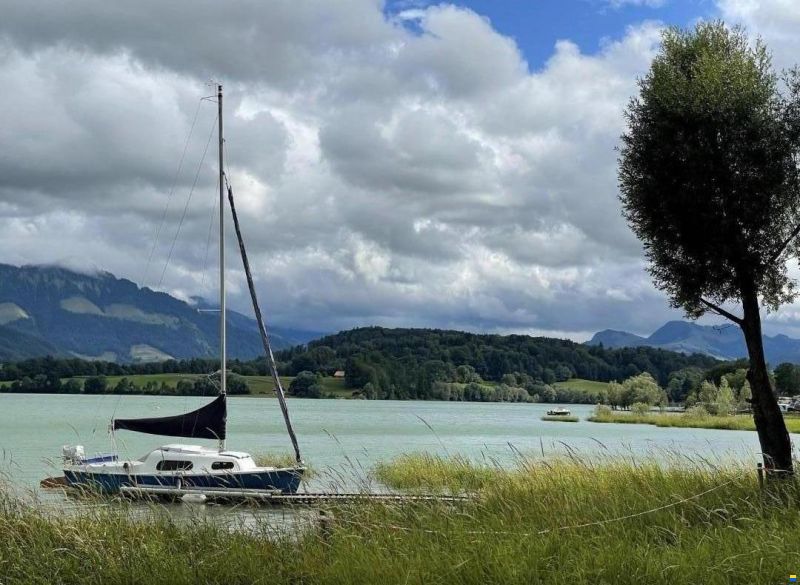 Staempfli Rafale 600