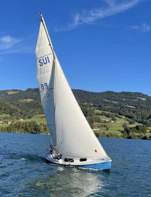 Staempfli Rafale 600