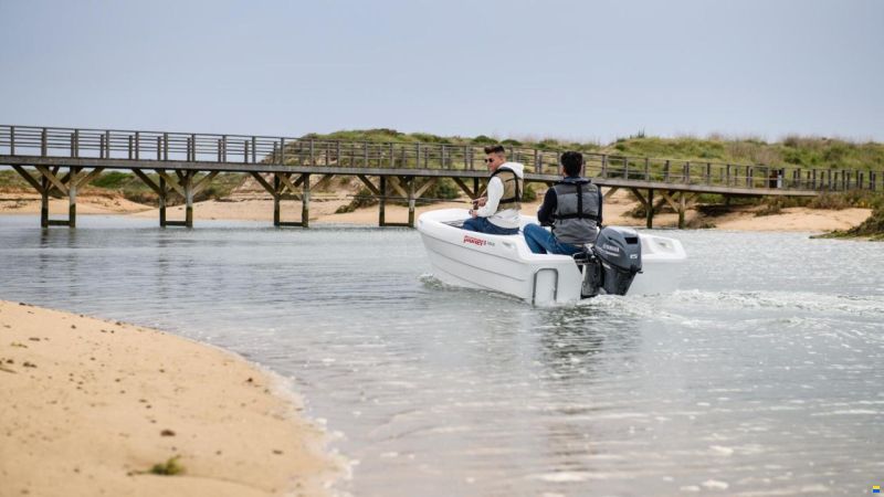 Yamaha F15CES/L