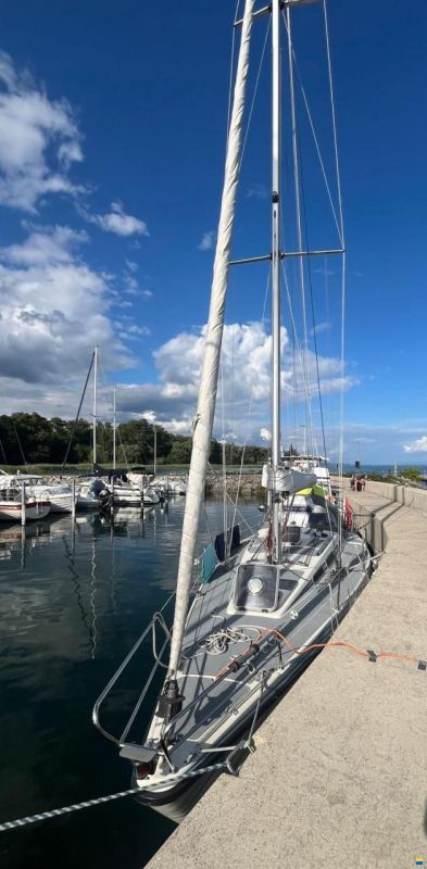 Larsmo Marin Avance 318