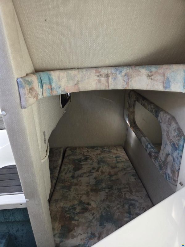 SEA RAY 250 DA Sundancer