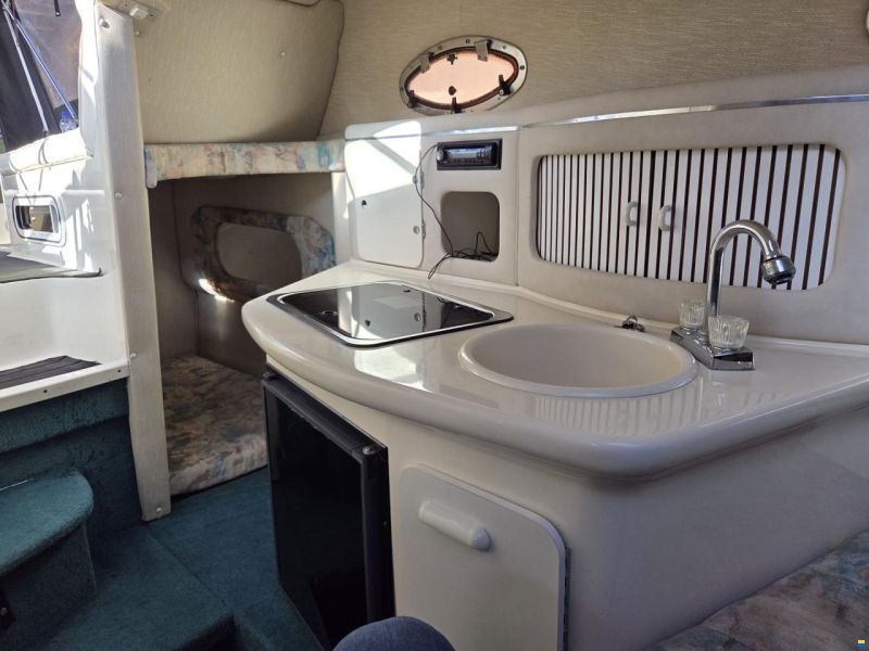 SEA RAY 250 DA Sundancer