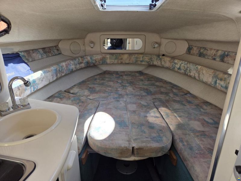 SEA RAY 250 DA Sundancer