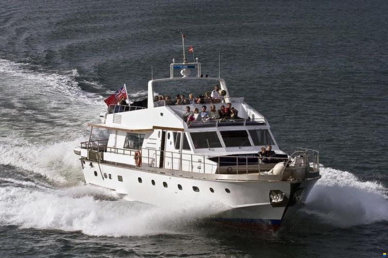Shalimara 82