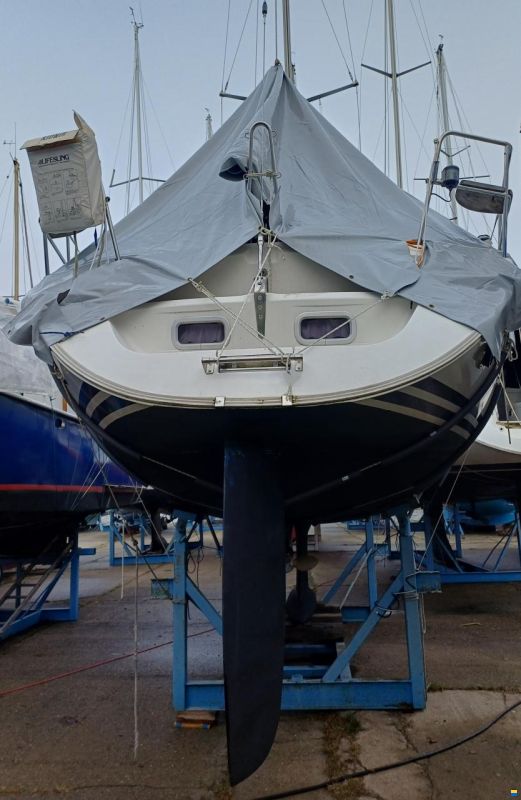 Sunbeam 37
