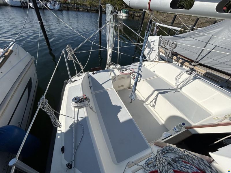 Delphia Sportina 680