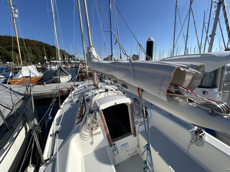 Delphia Sportina 680