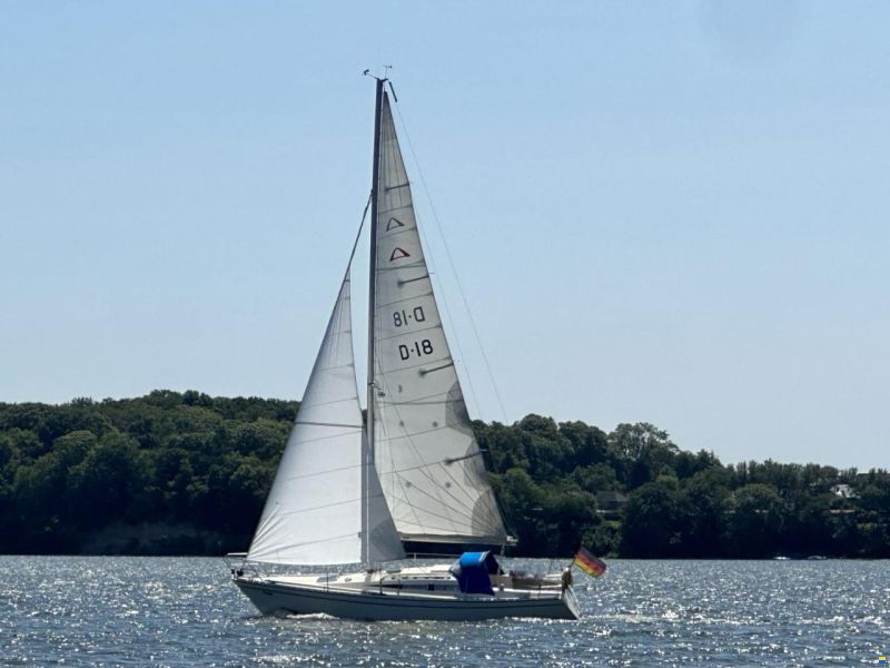 Arcona 32