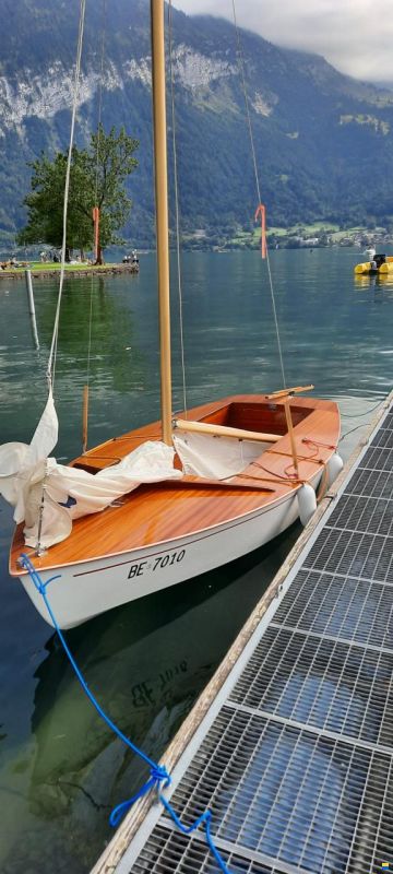 Delphin, S&uuml;dnautik, Rothkreuz bei Lindau