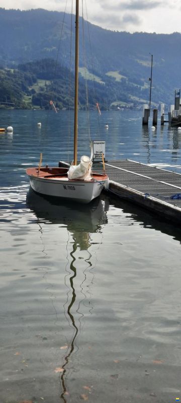 Delphin, Südnautik, Rothkreuz bei Lindau