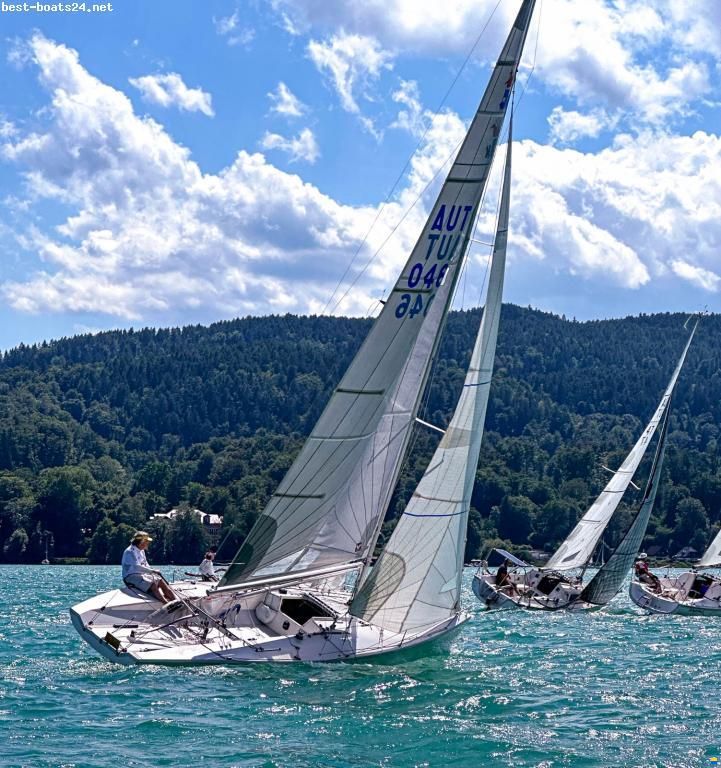 Santarelli Maxi Dolphin Joker