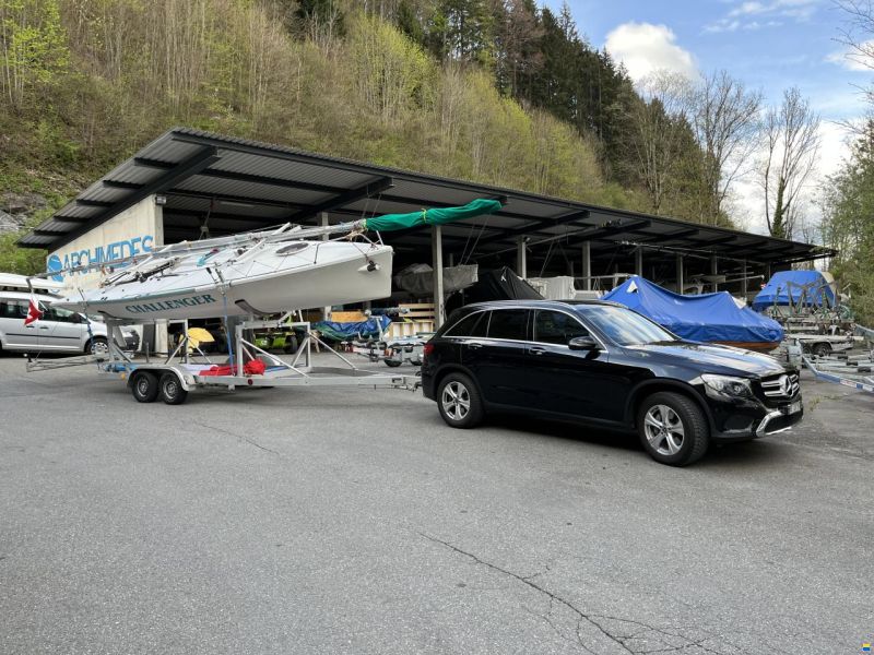 Santarelli Maxi Dolphin Joker