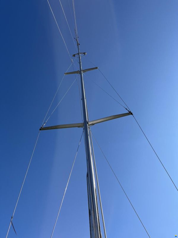 Santarelli Maxi Dolphin Joker