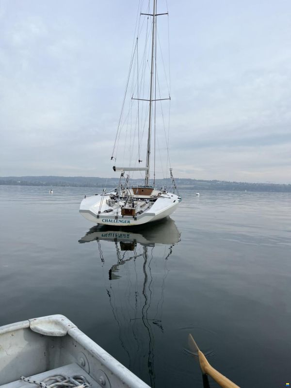 Santarelli Maxi Dolphin Joker