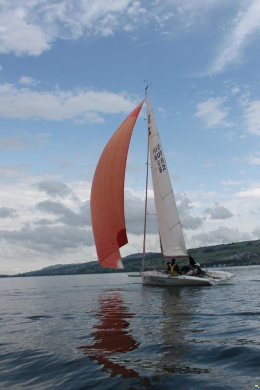 Santarelli Maxi Dolphin Joker