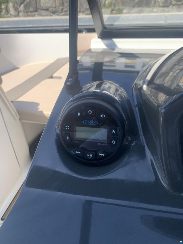 Bayliner VR5 Bowrider 250 PS