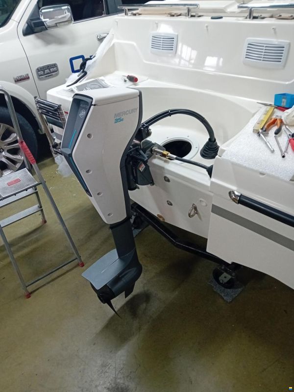 Mercury avator 7,5 ELRC