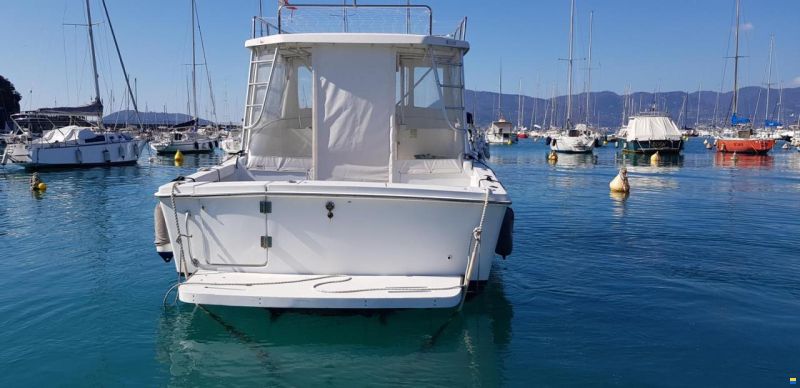 Luhrs T-290 WA
