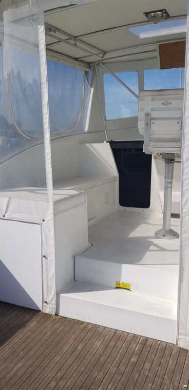 Luhrs T-290 WA