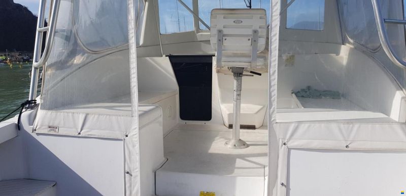 Luhrs T-290 WA