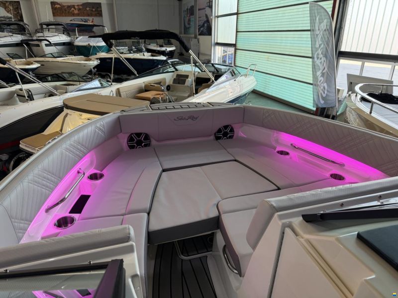 Sea Ray 250 SDX