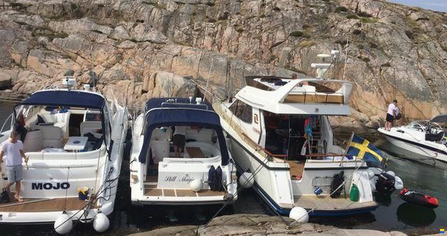 Storebro 430 Royal Cruiser