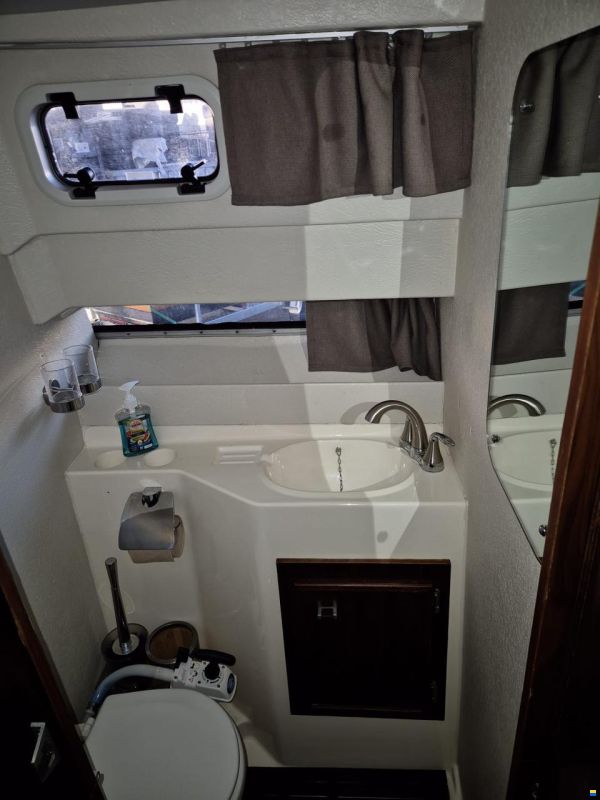 Fairline Carrera 24
