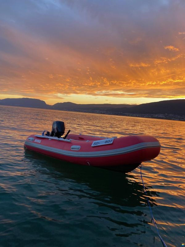 Holtermann / Blaue Hand 12.00