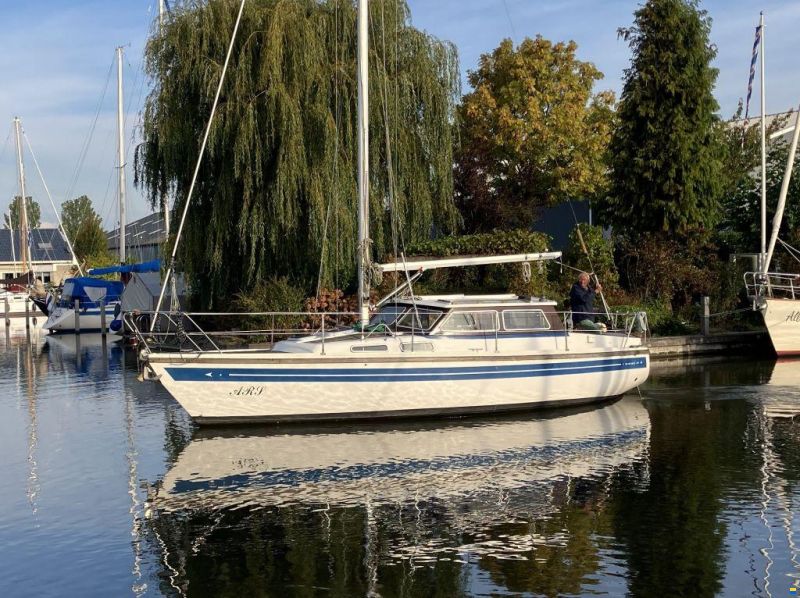 Sirius 31 DS