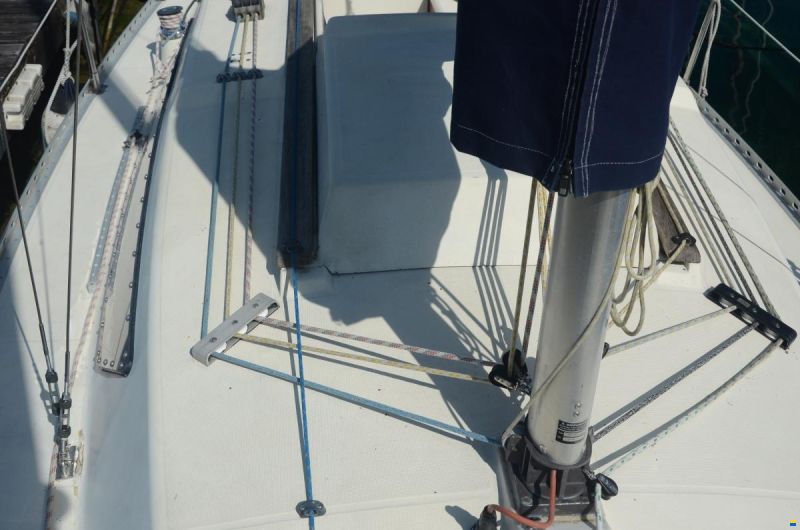 Gib Sea 242