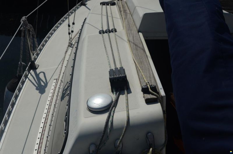 Gib Sea 242