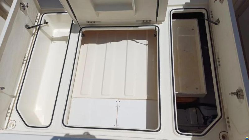 Quicksilver Activ 805 Pro Fish
