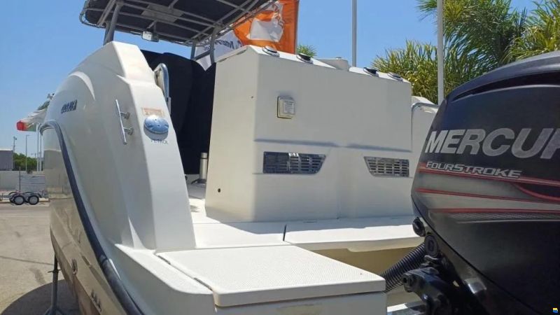 Quicksilver Activ 805 Pro Fish