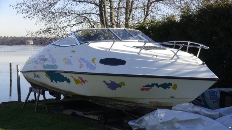 Apex Crowline Bayside 590