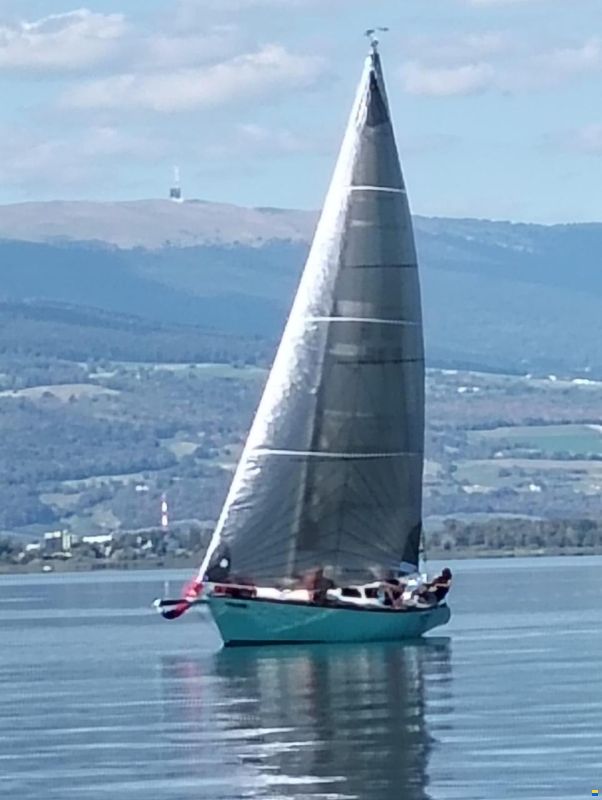 Eliminator 32