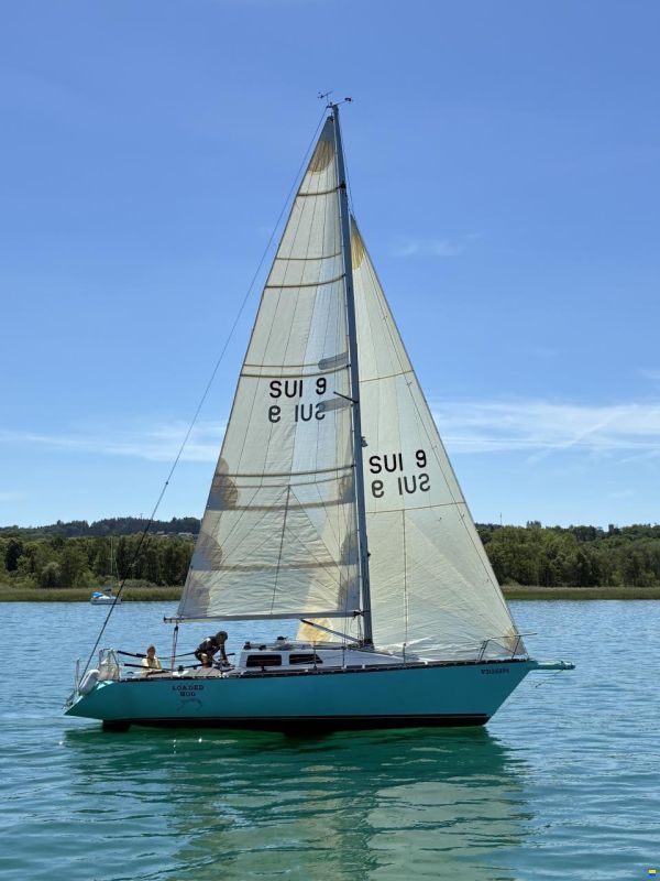 Eliminator 32
