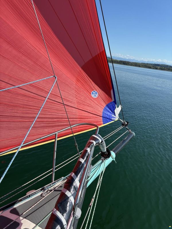 Eliminator 32