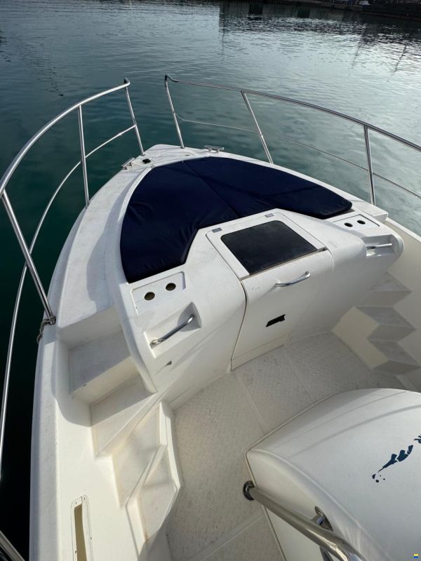 Quer 32 Cuddy