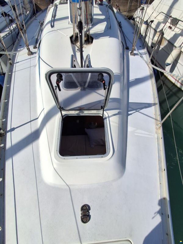 Argo Mare DUCK 41