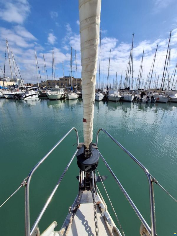 Argo Mare DUCK 41