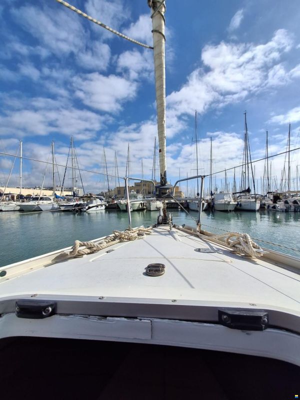 Argo Mare DUCK 41