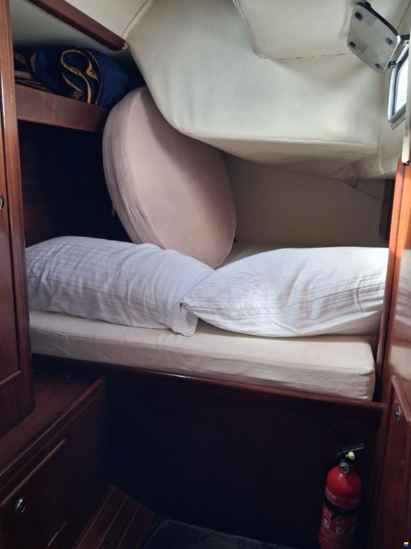 Argo Mare DUCK 41