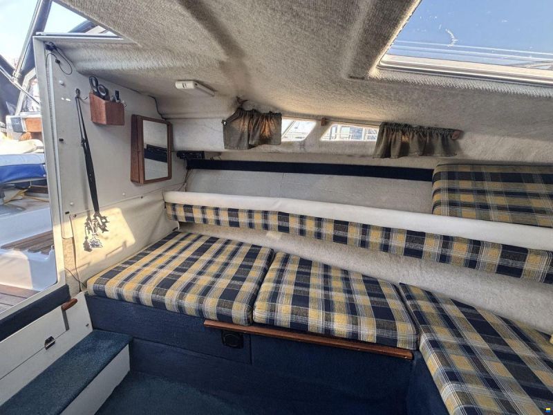 Campion 672 Explorer