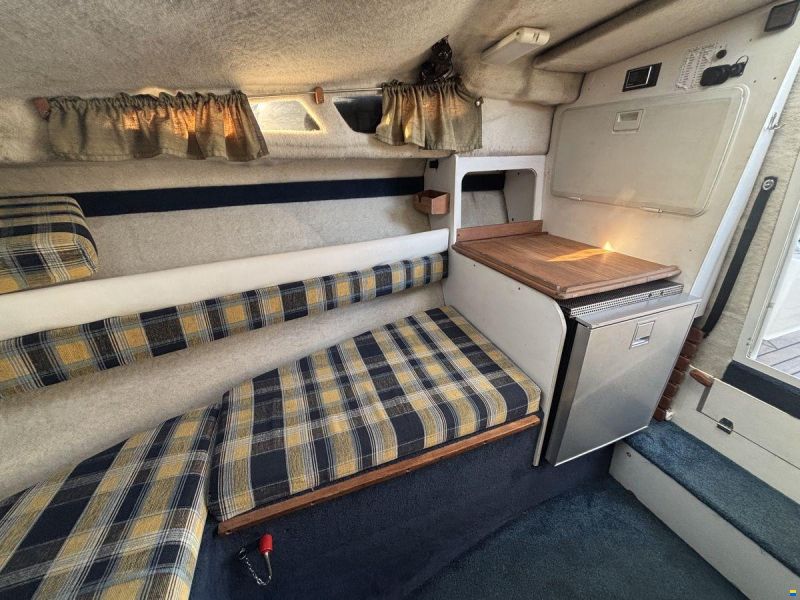 Campion 672 Explorer