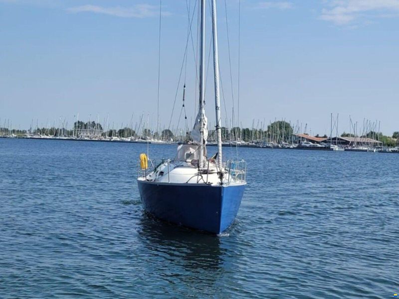 Astraea 295 Sprinter