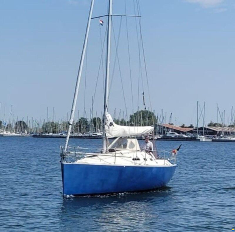 Astraea 295 Sprinter