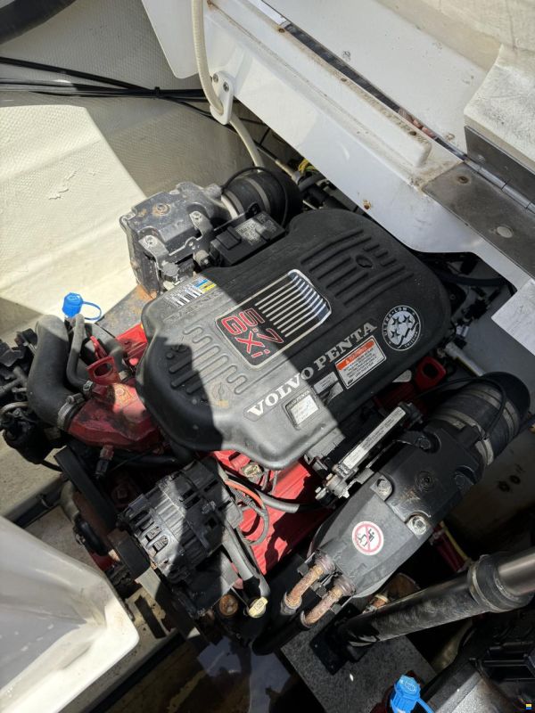 Cobalt 282 Bowrider